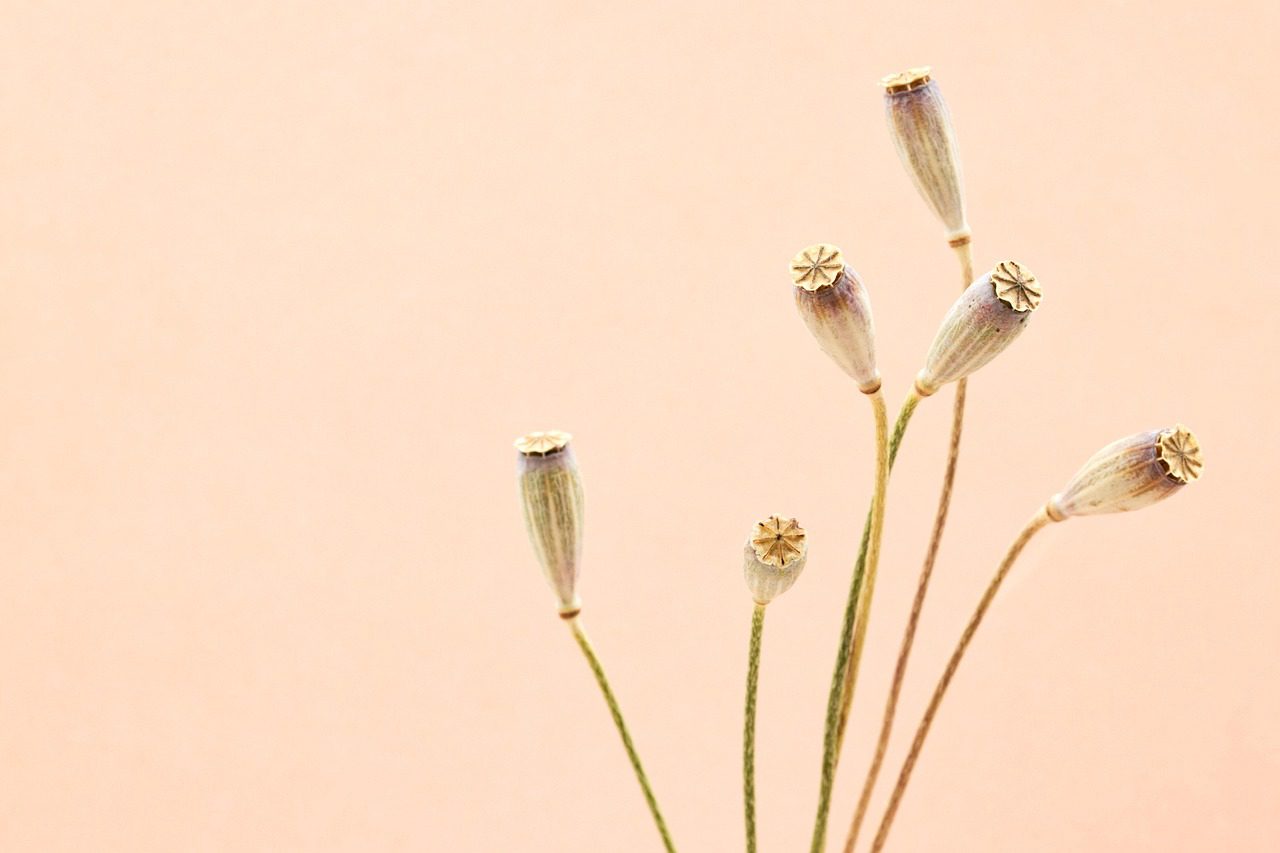 DSC01154
